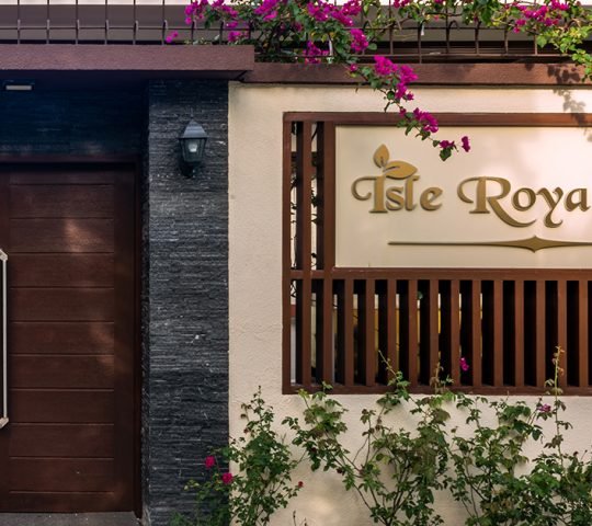 321999848 1150978545782902 2892213936070430104 n 540x480 2