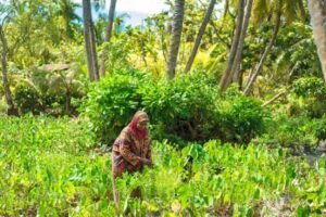 Photo Gallery 88 imagee (5)